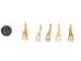North American Buffalo (Bison) Tooth - 174-150 (Y2DC01)