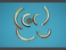 Broken or Cracked Beaver Tooth - 174-300-B (Y2J)