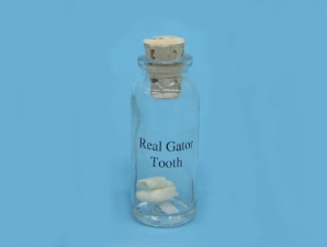 Alligator Teeth in a Bottle 