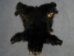 Craft Grade Black Bear Skin: Assorted - 175-CR-AS (Y1HRB)
