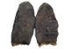 Beaver Tail: Washed &amp; Dried: Pair - 18-02-WP (Y1I)