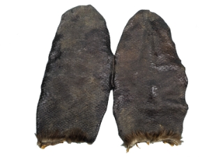 Beaver Tail: Washed &amp; Dried: Pair 