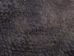 Beaver Tail: Washed & Dried: Single - 18-02-WS (Y1KRH)