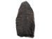 Beaver Tail: Washed & Dried: Single - 18-02-WS (Y1KRH)