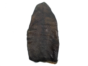 Beaver Tail: Washed & Dried: Single 