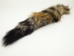 American Gray Fox Tail (10-17") - 18-05-0 (Y1KRF)
