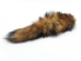 North American Red Fox Tail - 18-05-6 (Y2N)