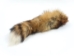 North American Red Fox Tail: #2/3 - 18-05-6#2/3 (Y2HC16)