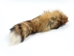 North American Red Fox Tail (12-14"): #2/3 - 18-05-6#2/3 (Y2H)