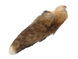 North American Red Fox Tail: 14"+ 