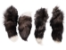 Silver Fox Tail (12-16") - 18-05-8-AS (Y2NRF)