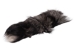 Silver Fox Tail (12-16") - 18-05-8-AS (Y2NRF)