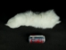 Shadow Fox Tail (White Fox) (10-16") - 18-05-9-AS (Y2NXX)