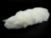 Shadow Fox Tail (White Fox) (10-16") - 18-05-9-AS (Y2NXX)