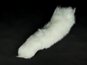 Shadow Fox Tail (White Fox) (10-16") 