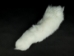 Shadow Fox Tail (White Fox) (10-16") - 18-05-9-AS (Y2NXX)