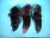 Dyed Blue Fox Tail (11-18"): Assorted Color - 18-05-AD (Y1XC18)
