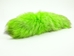 Dyed Fox Tail: Green - 18-05-GR (Y2P)