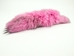 Dyed Fox Tail: Hot Pink - 18-05-HP (Y2P)