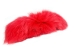 Dyed Fox Tail: Red - 18-05-RD (Y2PXX)