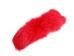 Dyed Fox Tail: Red - 18-05-RD (Y2PXX)