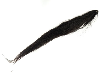 Dried Horse Tail: Black 