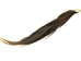 Dried Horse Tail: Multi-Colored - 18-06-MC (Y1H)