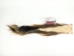 Tanned Horse Tail: Multi-Colored - 18-06T-MC (Y1HRI)