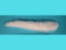 Mink Tail: White - 18-09-WH (Y1KC01)(Y1FRB)