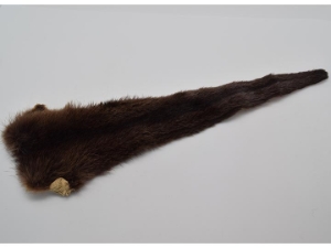 Otter Tail 