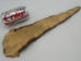 Otter Tail - 18-10 (Y2JC06)