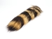 Natural Raccoon Tail: Small - 18-11-N-S (L1)