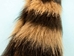 Synthetic Raccoon Tail: Large (11-12&quot;) - 18-11-S-L