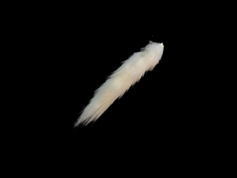Ermine Tail: Small White (No Black Tip) 
