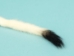 Ermine Tails - 18-20-45 (Y2LRH)