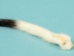 Ermine Tails - 18-20-45 (Y2LRH)
