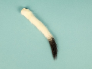 Ermine Tails 