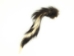 Skunk Tail - 18-SK-M (Y2NRL)