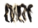 Skunk Tail - 18-SK-M (Y2NRL)