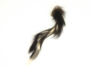 Skunk Tail 