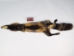 Cross Fox Skin: Trading Post Grade - 180-01-TP-AS (Y2KWR)