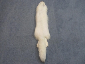 Trading Post Grade Arctic Fox Skin: Assorted 