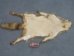 Red Fox Skin with Feet: Assorted - 180-03-WF-AS (Y2KWR)(Y2FWR)(Y1KWR)(Y2KXX)