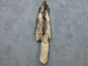 Trading Post Grade Blue Fox Skin: Assorted 