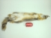 Craft Grade American Gray Fox Skin: Assorted - 180-08-CR-AS (Y2FWR)(Y2LWR)