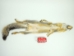 Trading Post Grade American Gray Fox Skin: Assorted - 180-08-TP-AS