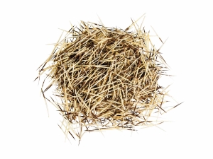 North American Porcupine Quills: 0.5-oz. Bag 