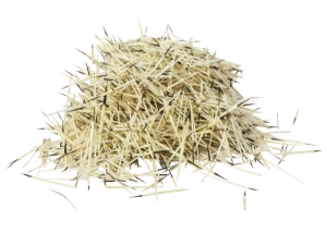 North American Porcupine Quills: 1-oz. Bag 