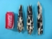 African Porcupine Quill: B-Grade Thick: Assorted - 184-02B1 (Y1J)