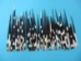 African Porcupine Quill: B-Grade Thick: Assorted - 184-02B1 (Y1J)